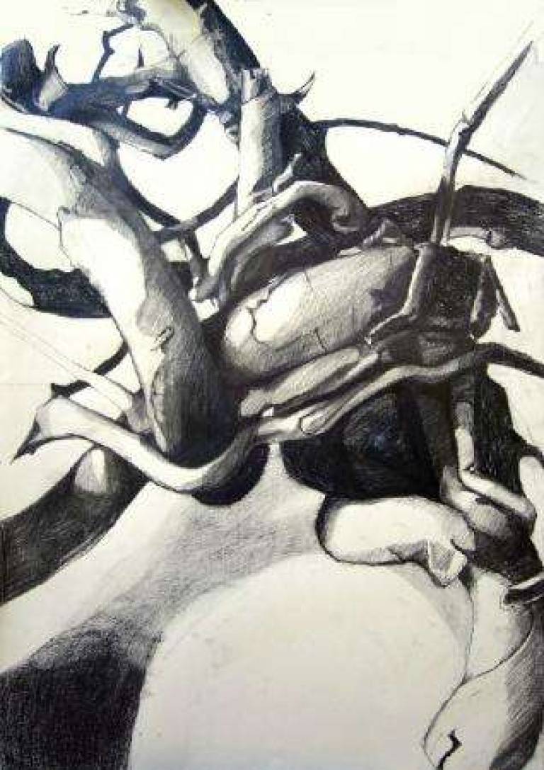 Wood-drawing-2 / dessin - bois 2 - Alan Humphries