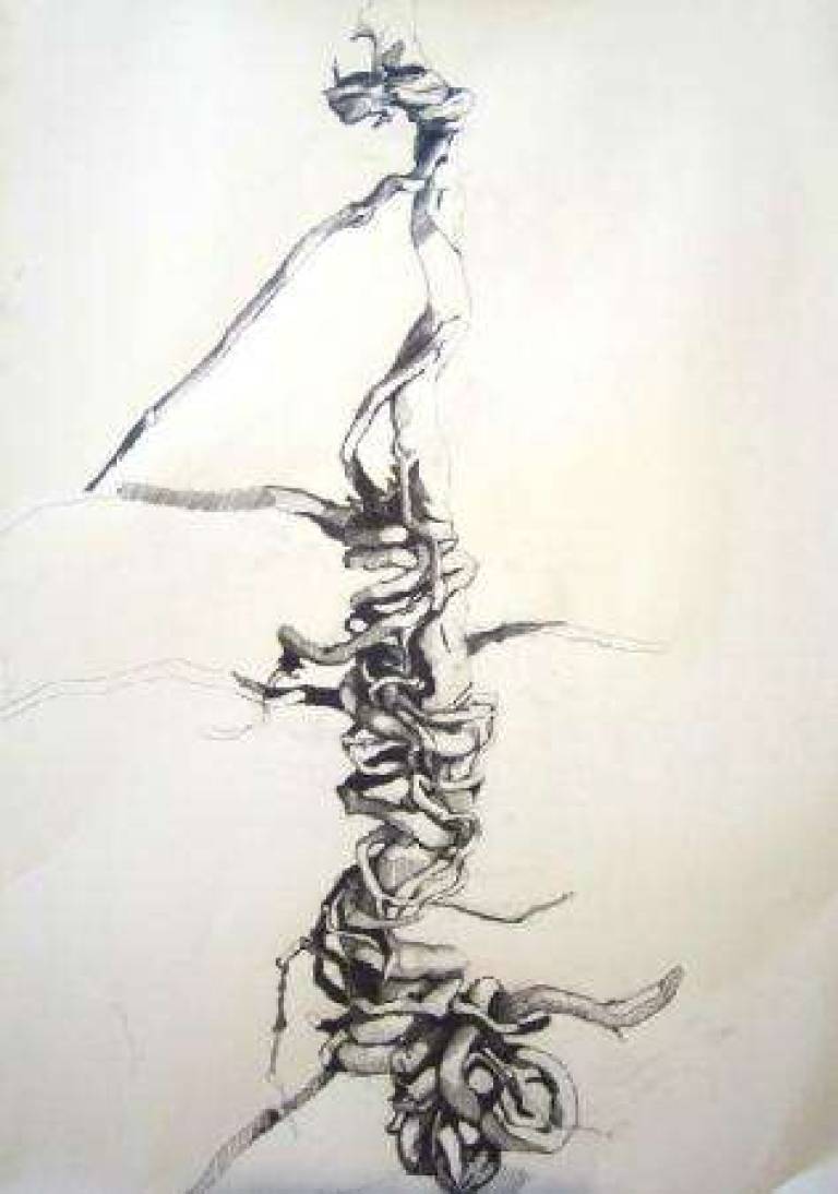 Wood-drawing-3 / dessin - bois 3 - Alan Humphries