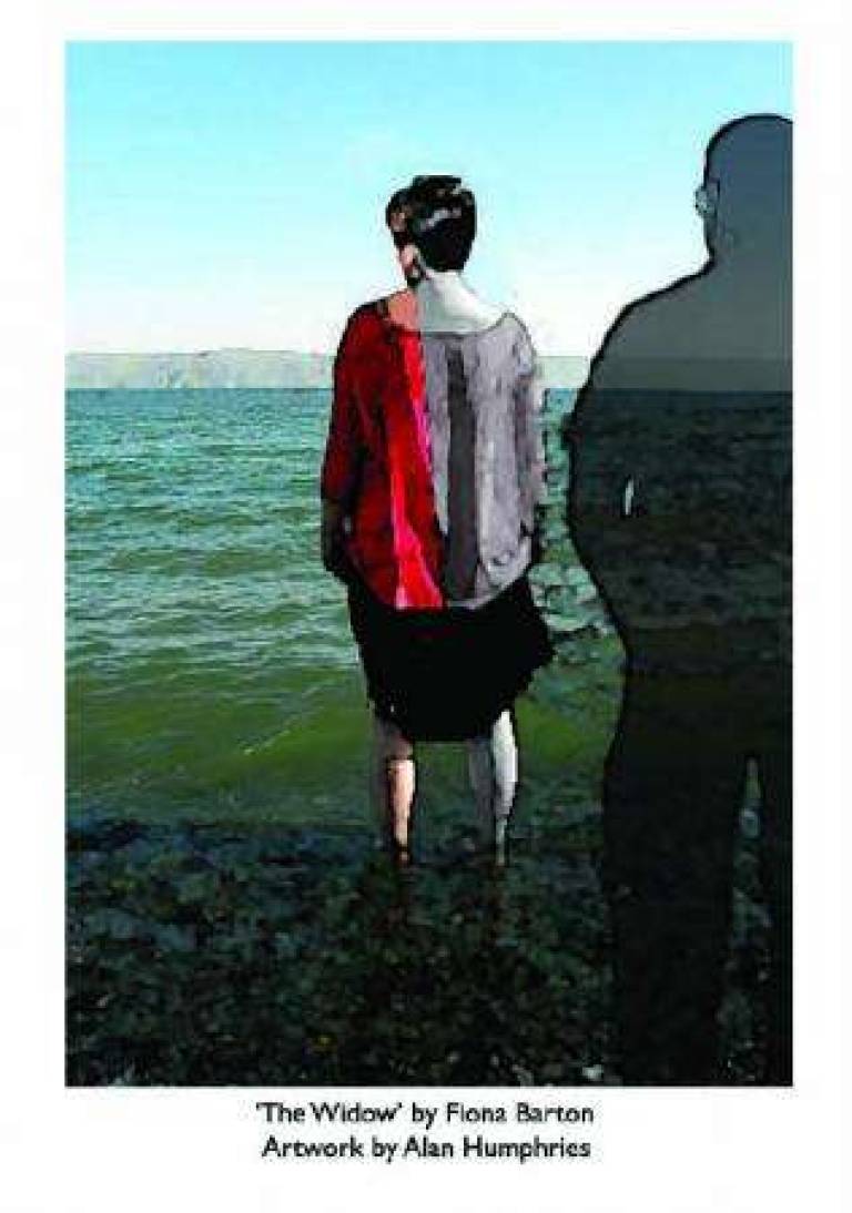 Book illustration: Fiona Barton 'The Widow' - Alan Humphries