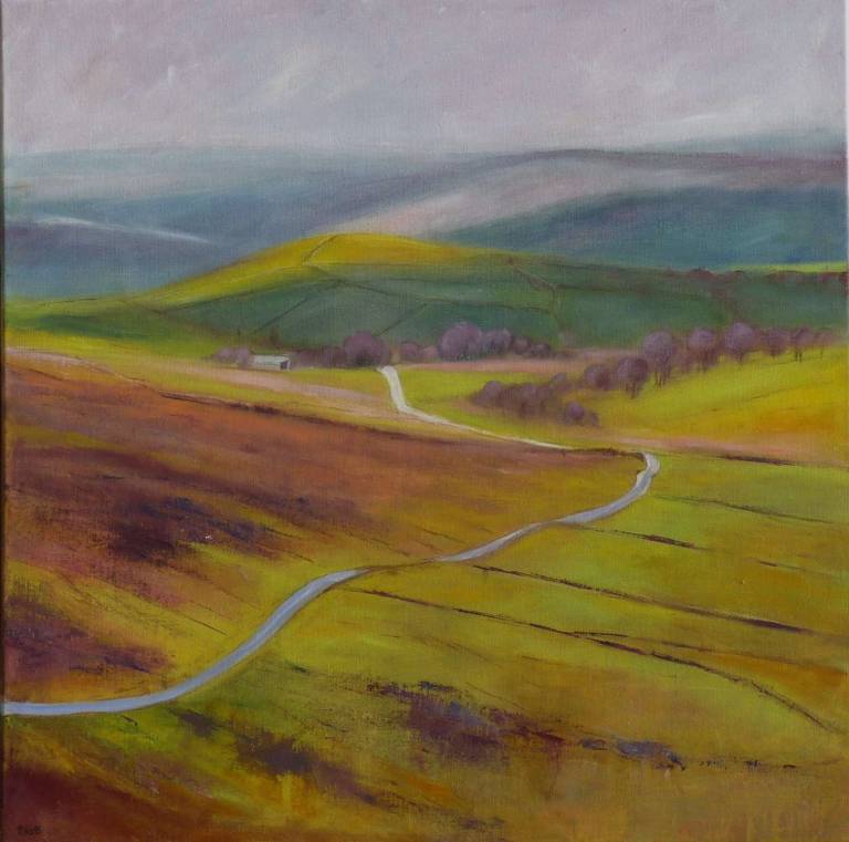 Along the Winding Dartmoor Road - Bonney Rosemary