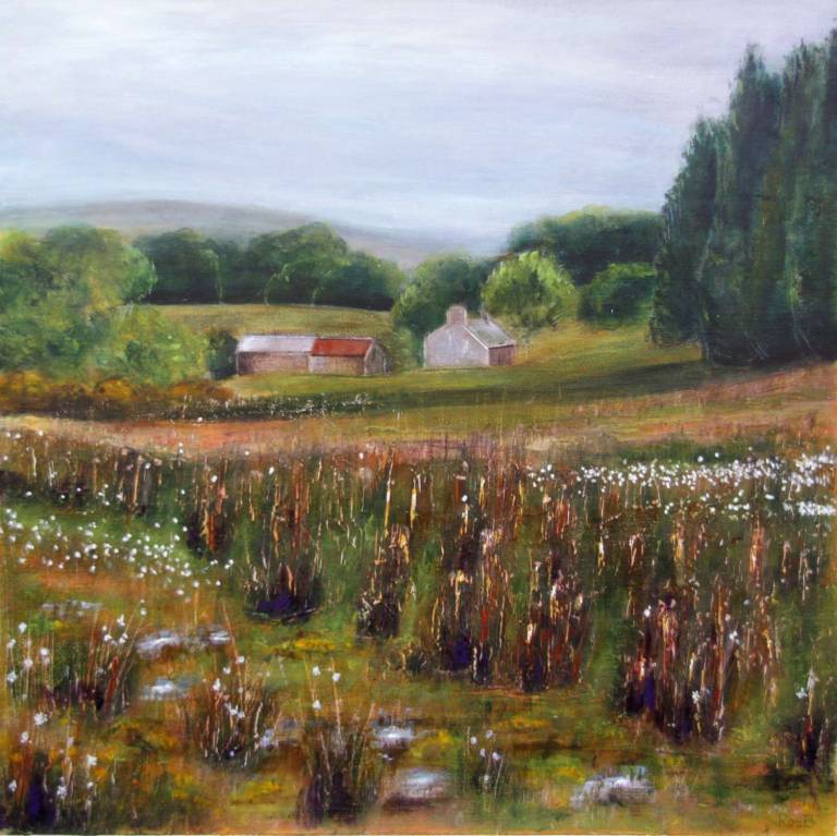 Marshy Ground near Soussons Farm - Bonney Rosemary