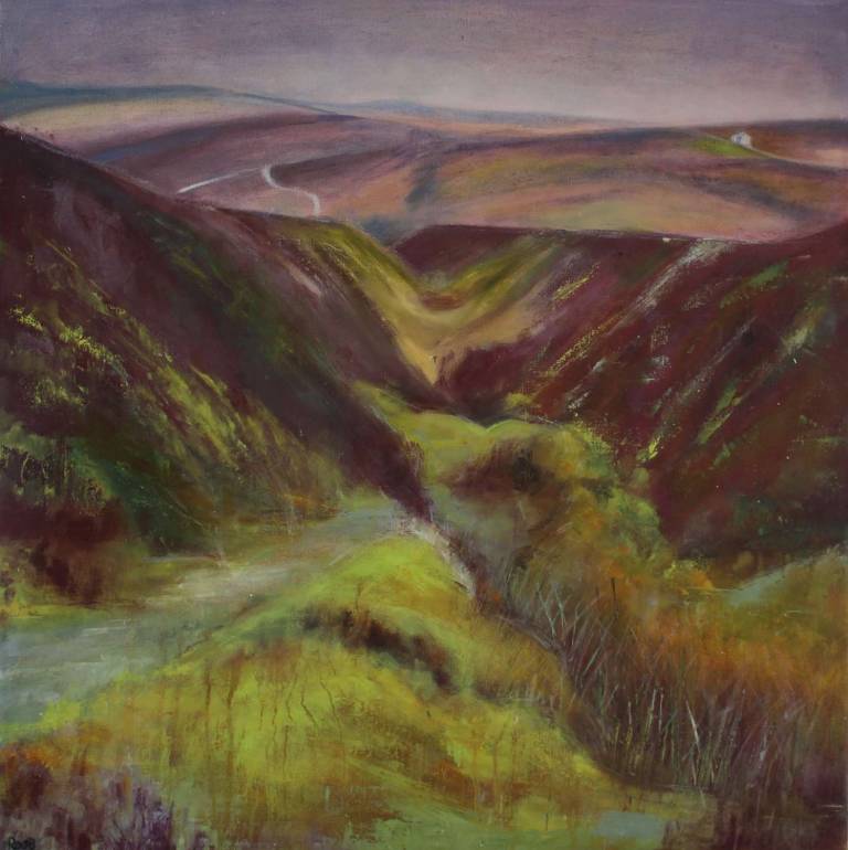 Exploring Dartmoor's Mining Past - Bonney Rosemary