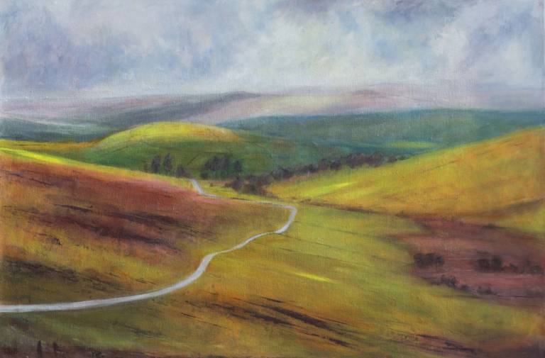 The Road to Challacombe - Bonney Rosemary