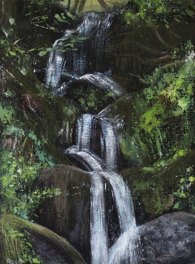 Woodland Waterfall - Bonney Rosemary