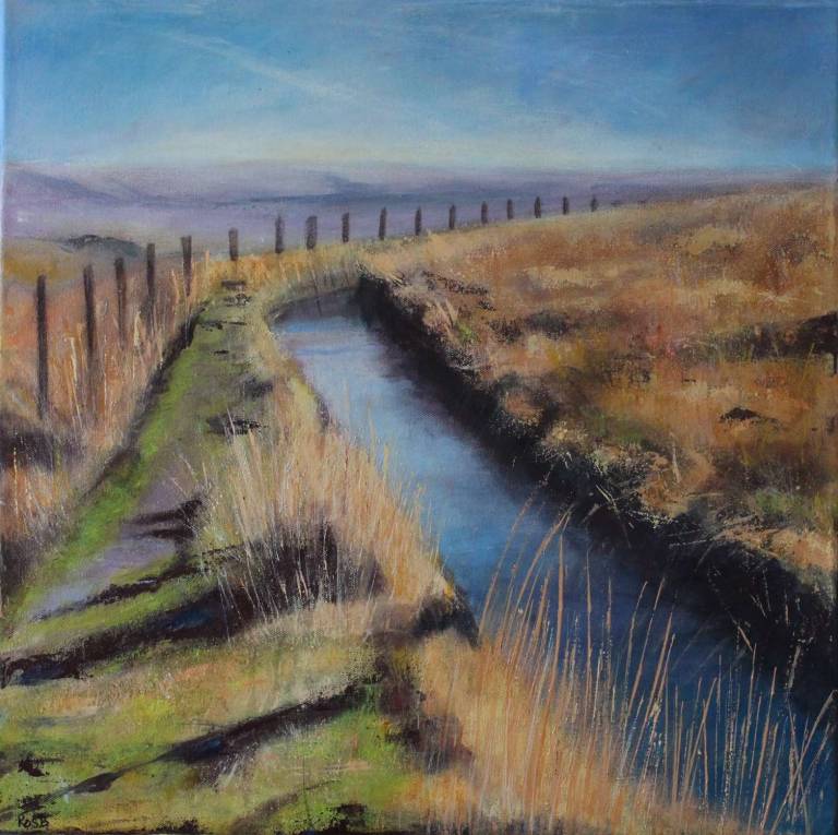 The Devonport Leat after Beardown Tor - Bonney Rosemary