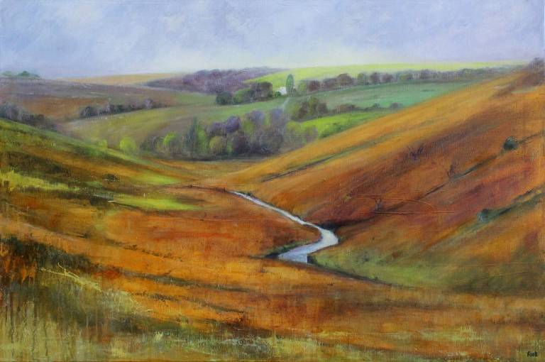 Walking the West Dart towards Two Bridges - Bonney Rosemary