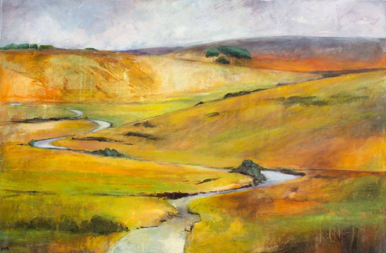 The West Dart at Two Bridges - Bonney Rosemary