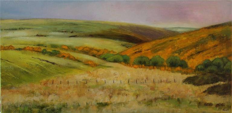 Roundy Park beside the East Dart - Bonney Rosemary