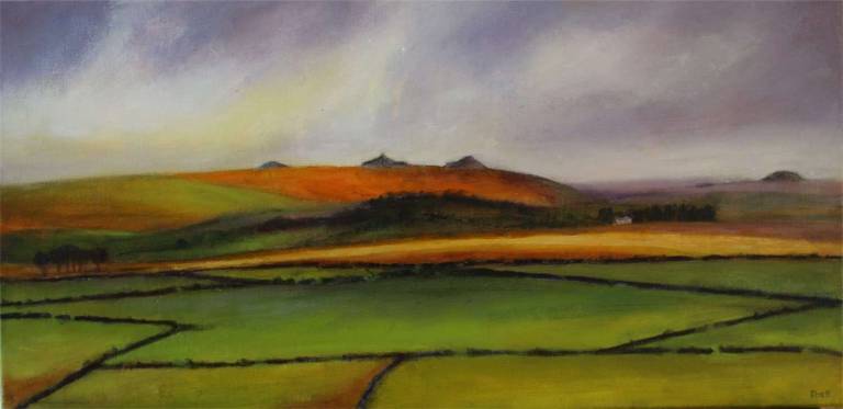 Golden Light across the Moor - Bonney Rosemary