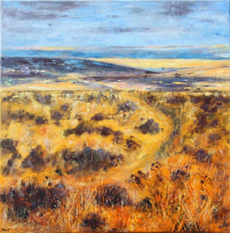 Towards Chagford Common and Beyond - Bonney Rosemary