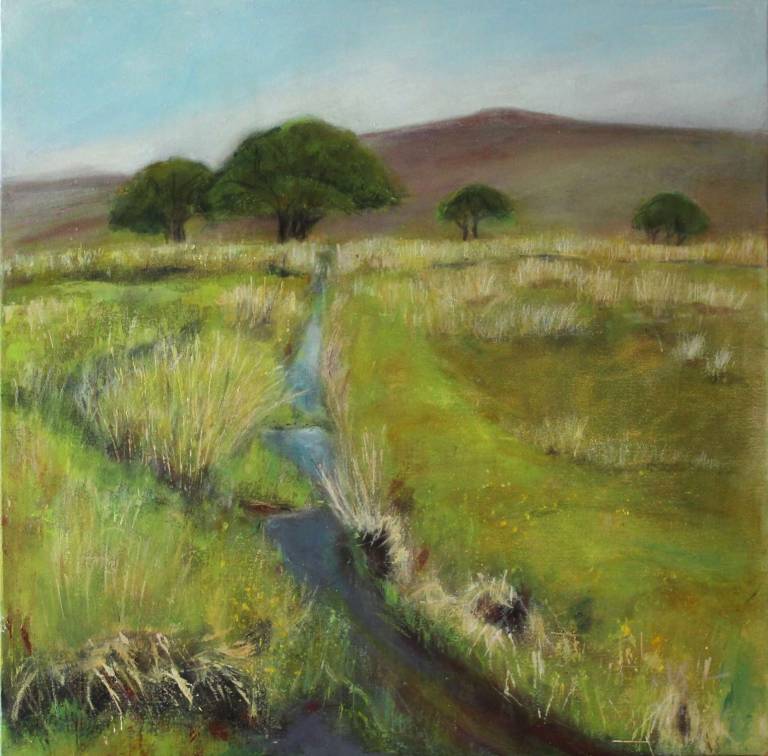 Holne Moor Leat in Spring - Bonney Rosemary