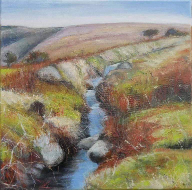 Holne Moor Leat - Bonney Rosemary