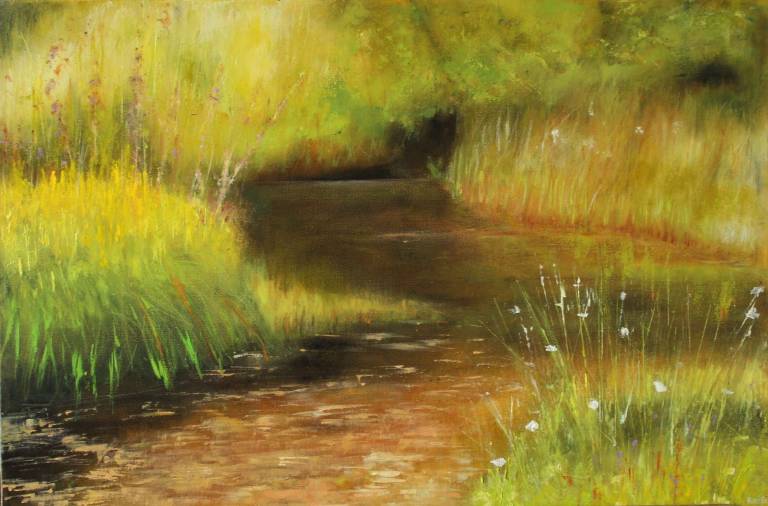 A Dartmoor Gem - Emsworthy Mire with Bog Asphodel - Bonney Rosemary