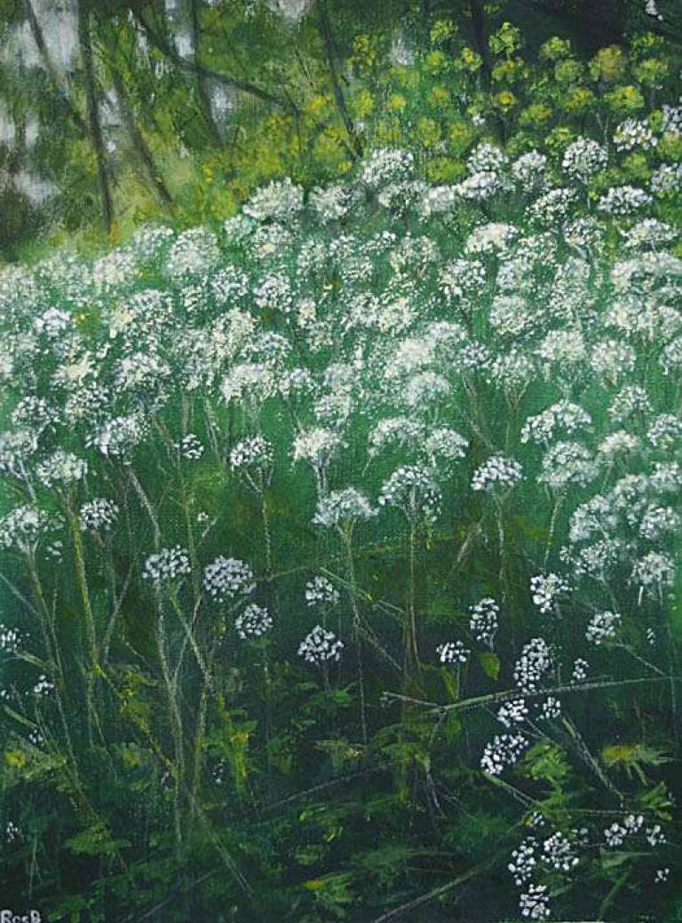 Cow Parsley and Alexanders - Bonney Rosemary