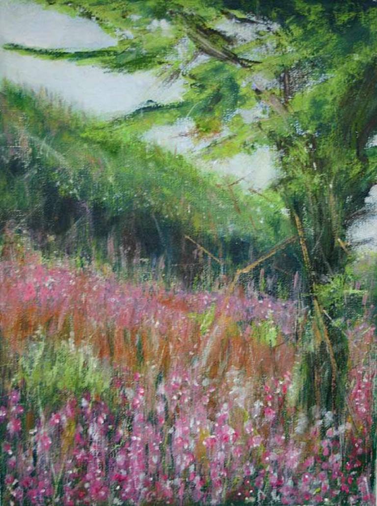 Pink Campion - Bonney Rosemary