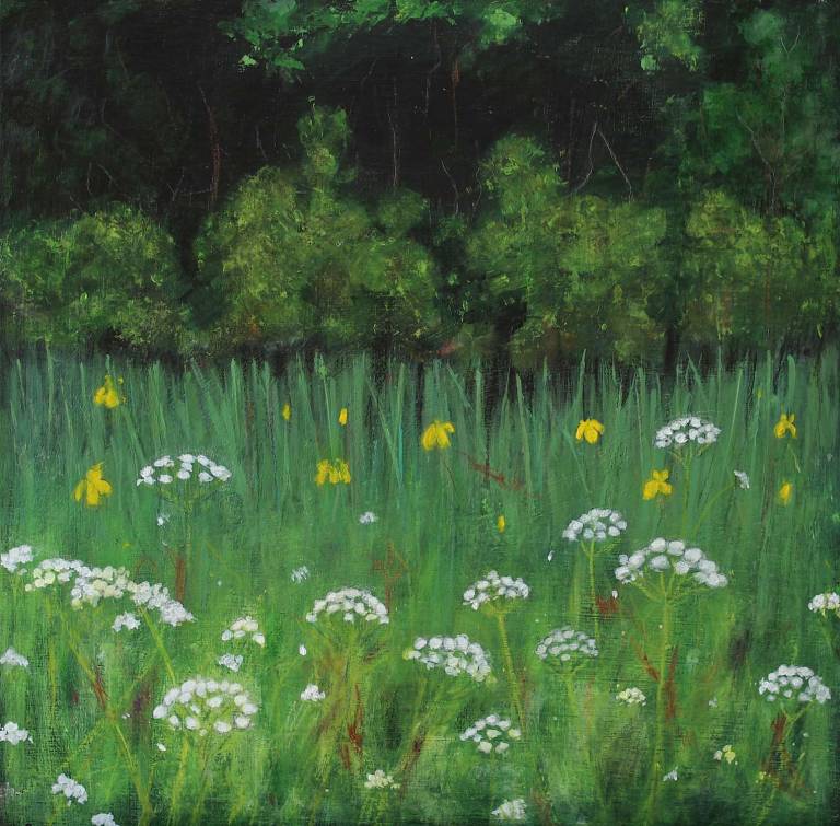 Wet Meadow Flowering - Bonney Rosemary