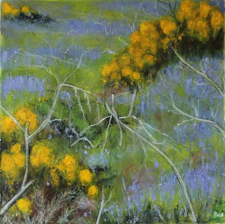 Gorse and Bluebells in a Dartmoor Landscape - Bonney Rosemary