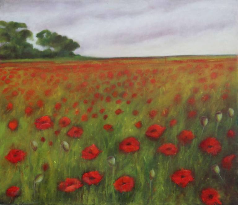 Field of Poppies - Bonney Rosemary