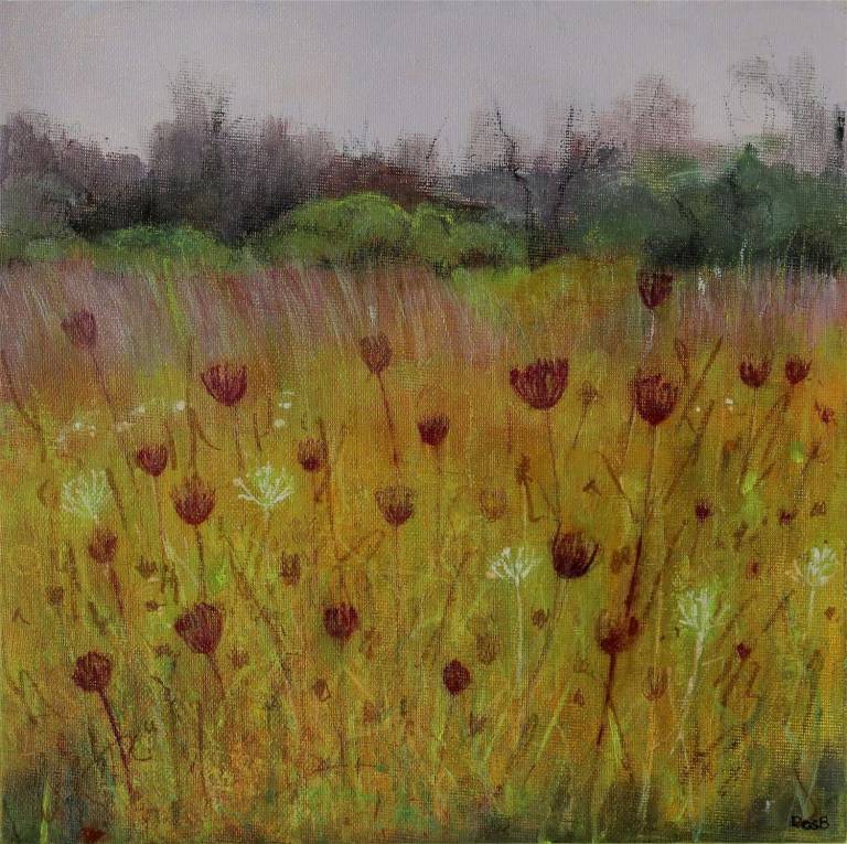 Autumn Wild Carrot Umbels - Bonney Rosemary