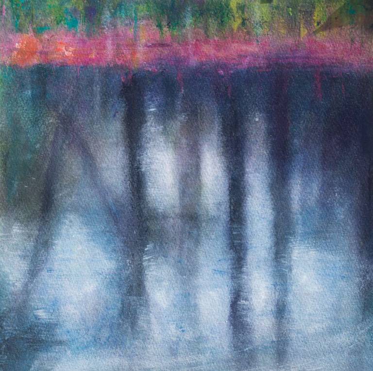 Dart Reflections III - Bonney Rosemary