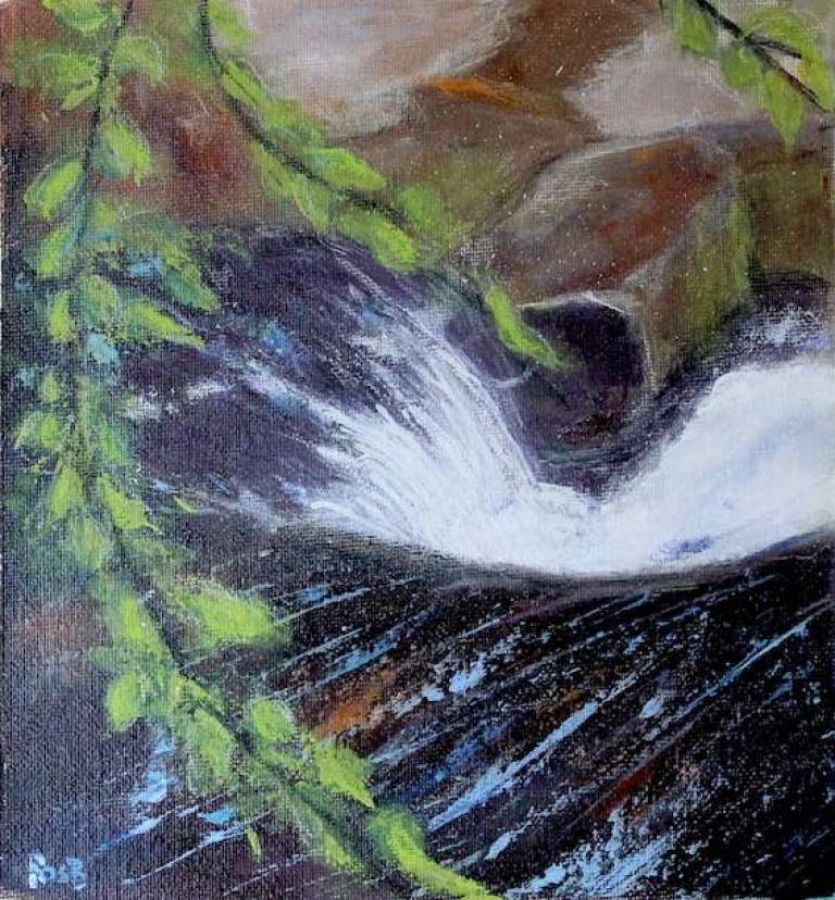 Horseshoe Falls River Dart - Bonney Rosemary