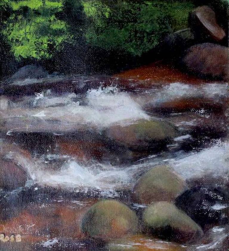 Gently Flows the Dart - Bonney Rosemary