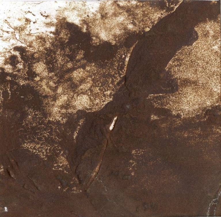 Wistman's Wood - Bonney Rosemary