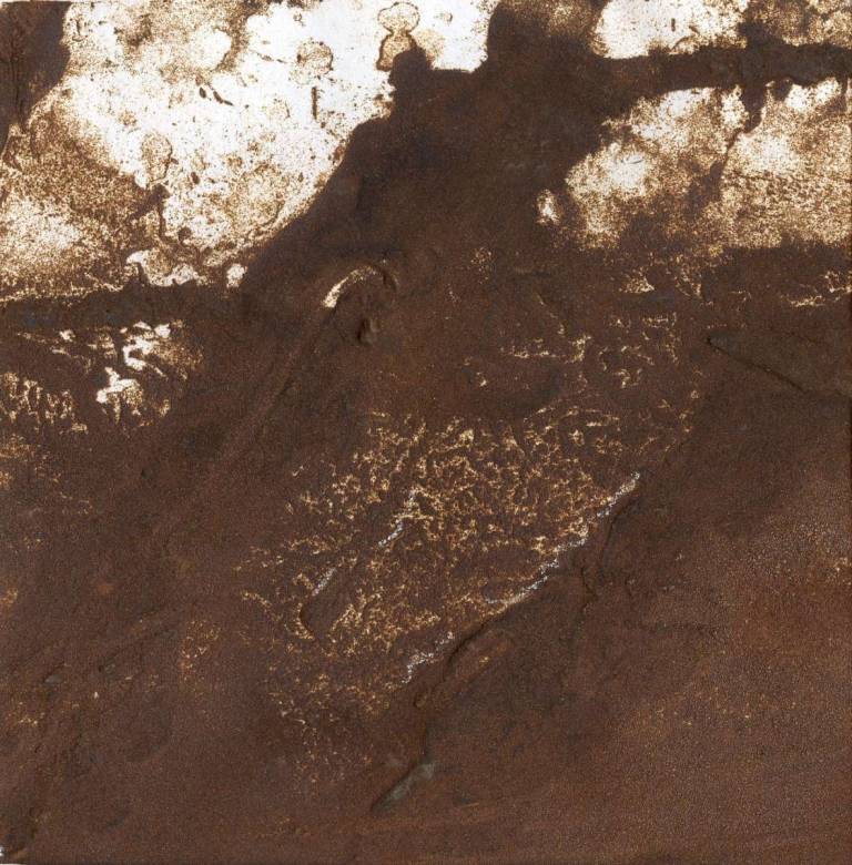 Wistman's Wood Revisited - Bonney Rosemary