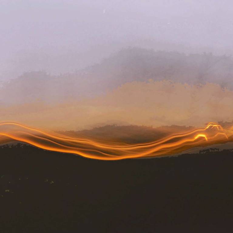 Fire and Light - Bonney Rosemary