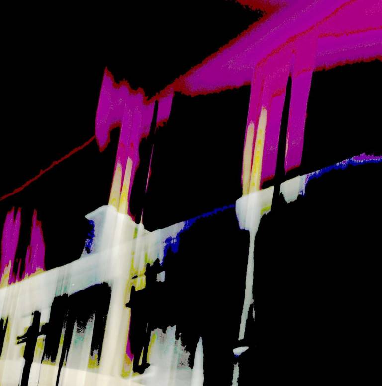 Into the Light - Bonney Rosemary