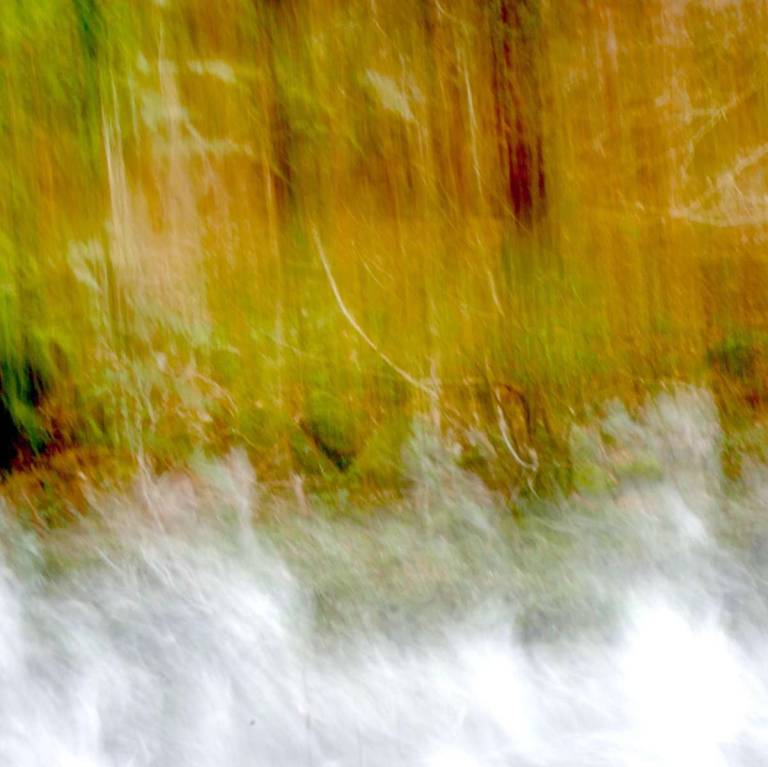 Raging River - Bonney Rosemary