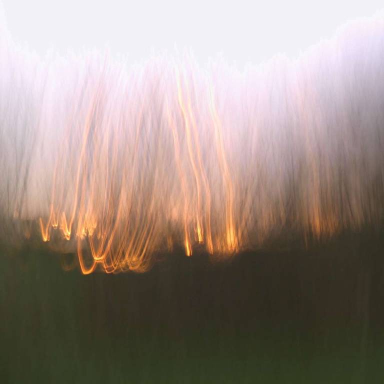 Sunset Skyburst - Bonney Rosemary