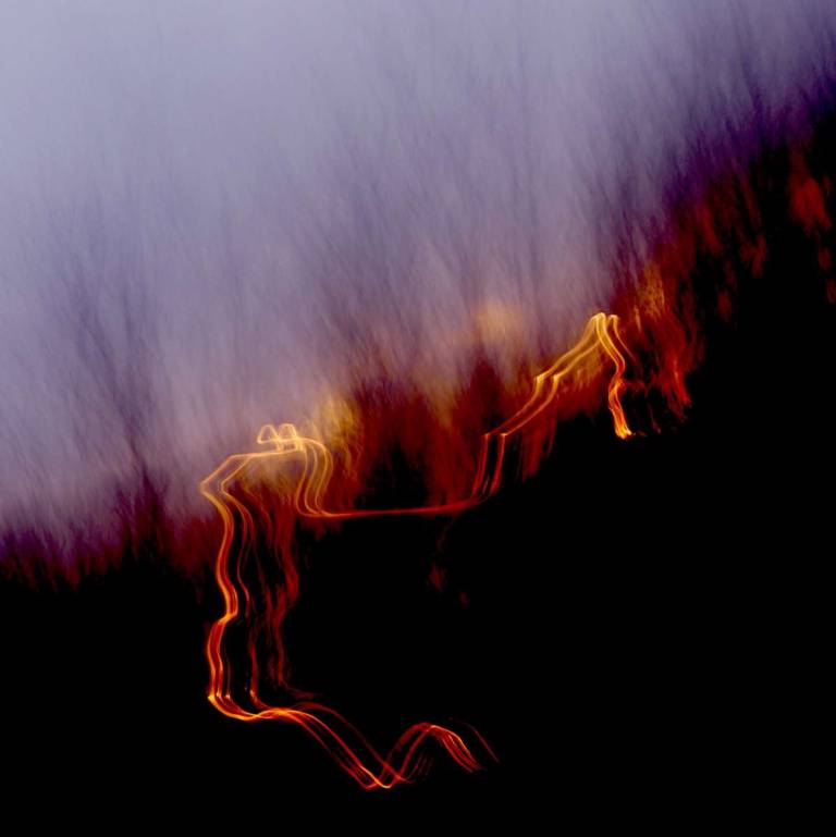 Sunset Transformed - Bonney Rosemary