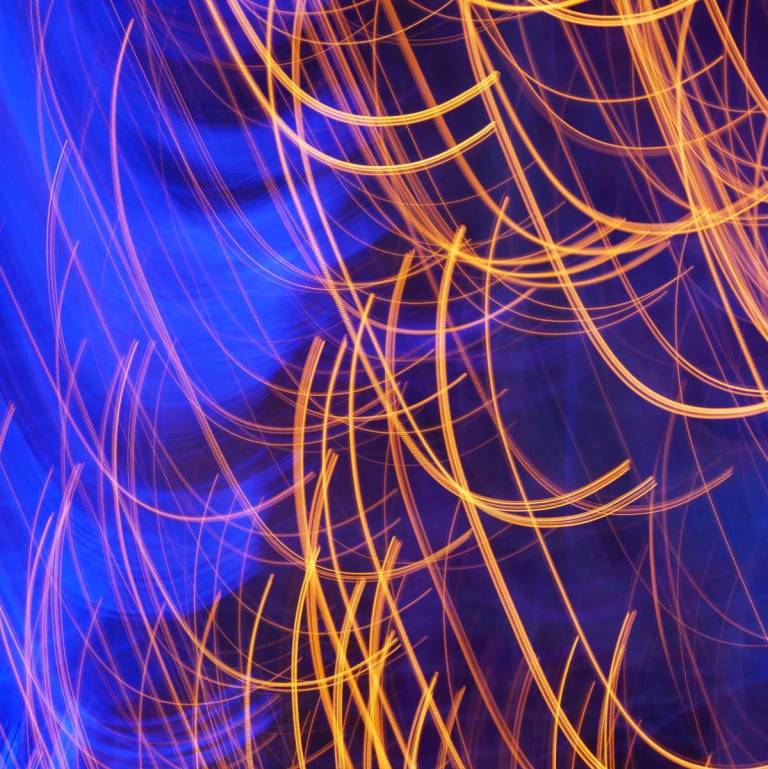 A Celebration of Light - Bonney Rosemary