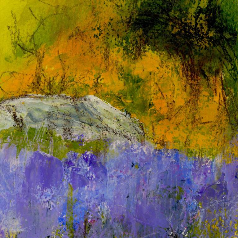 Spring Comes to Dartmoor - Bonney Rosemary