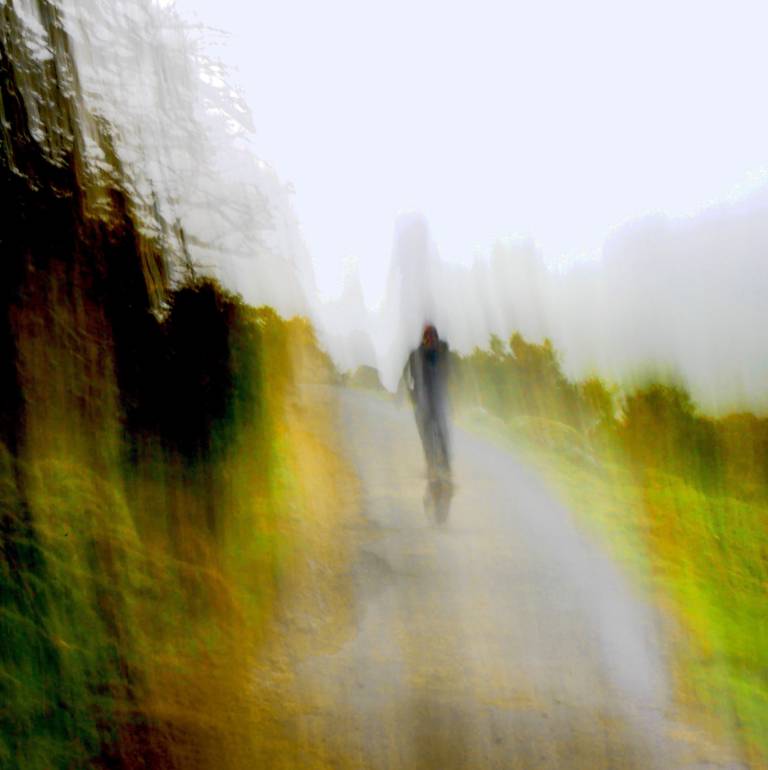 Walking the Dog in the Rain - Bonney Rosemary