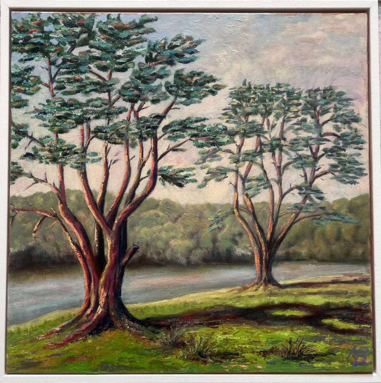 Magnificent Montereys III, High Summer - Margaret   Beringer