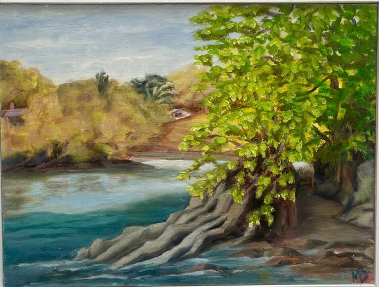 Pirate Island - Margaret   Beringer