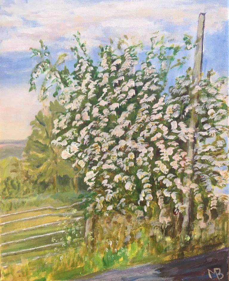 Bryn's May Blossom - Margaret   Beringer