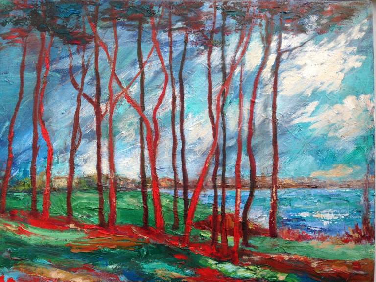Torbay Trees Oil - Denise Orchard
