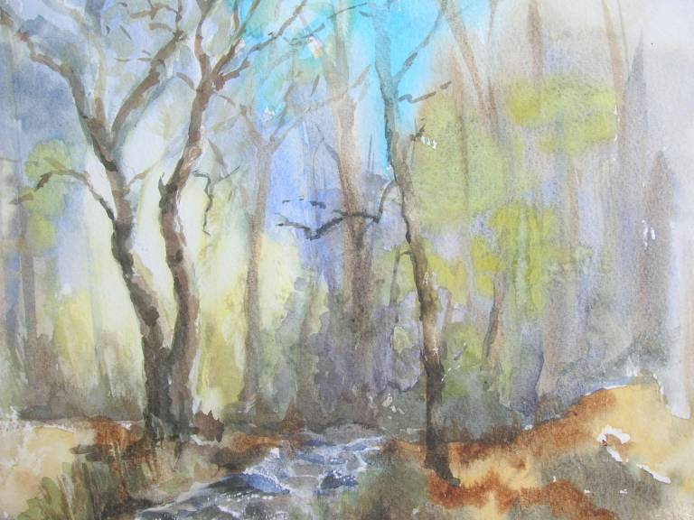 Woodland Stream - Denise Orchard