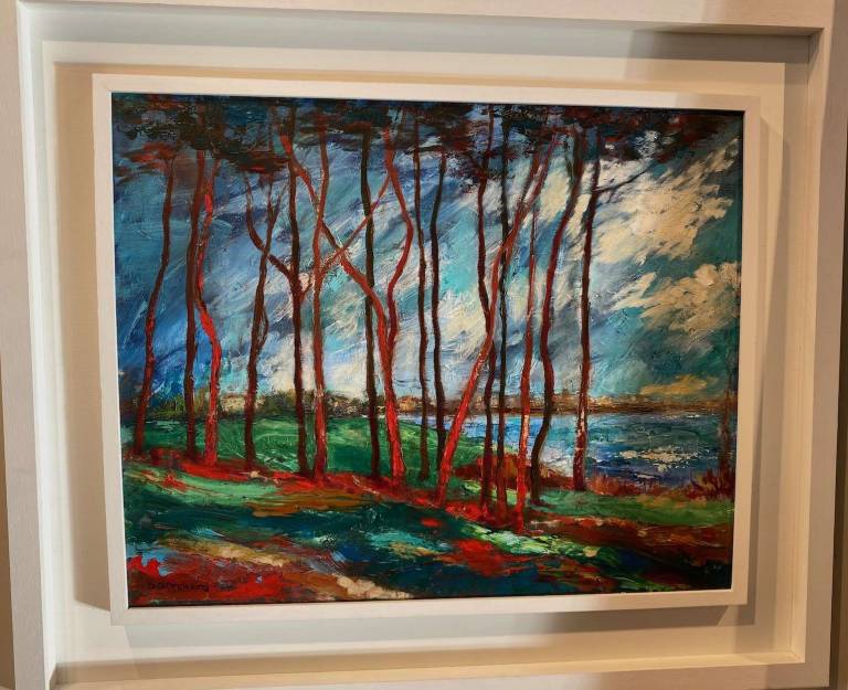 Torbay Trees, (Framed) - Denise Orchard