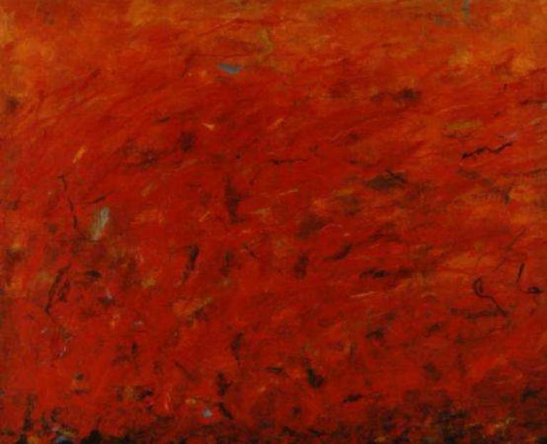 Fieldfire - Janet Patterson