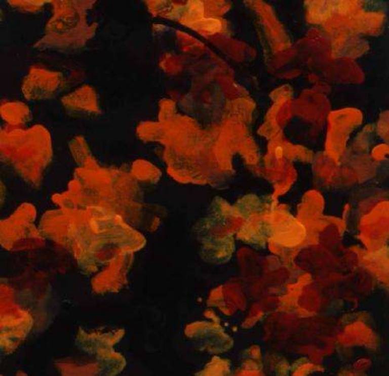 Glow - Janet Patterson