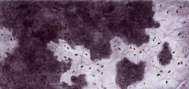 Ground Cover - Janet Patterson