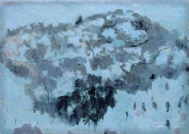 Mulga - Janet Patterson