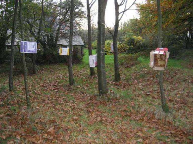 Spinney - Janet Patterson