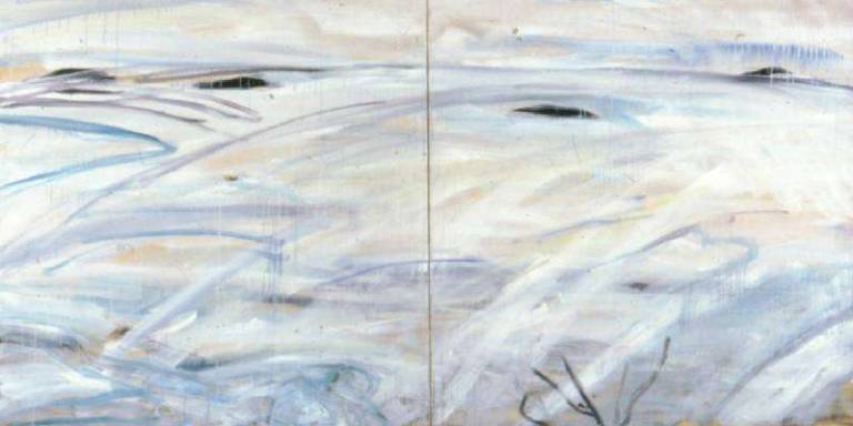 To the Antarctic - Janet Patterson