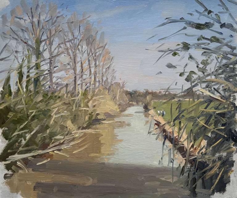 Romney Marsh, Kent (1) - Rod Major