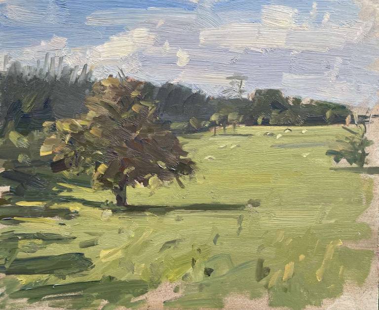 Sandling, Autumn Tree - Rod Major